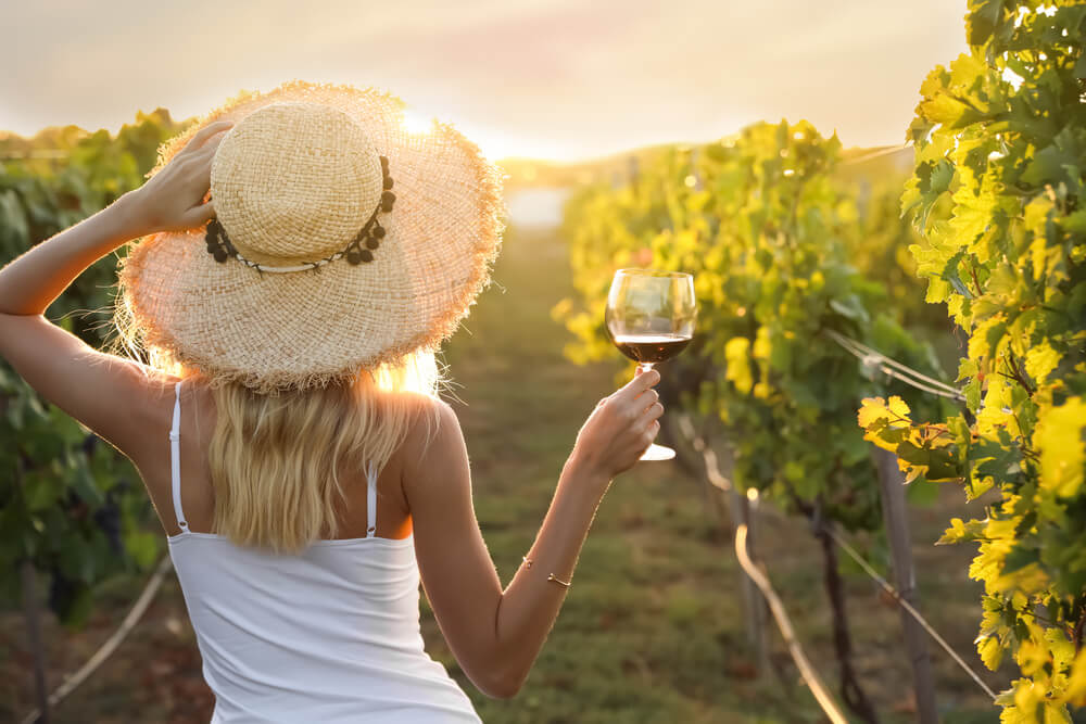 Vychutnejte si lahodné víno z úžasných slovinských vinic oblasti Podravje